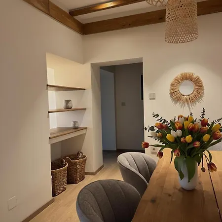公寓 Alemarni Syros 埃尔莫波利斯